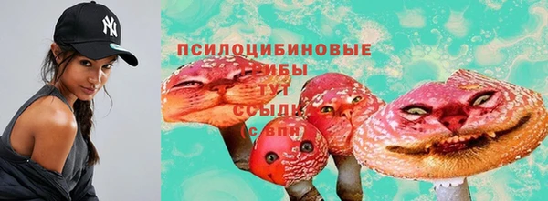 дурь Пролетарск