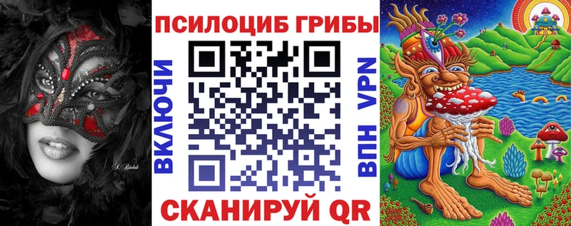 Галлюциногенные грибы прущие грибы  Сланцы 