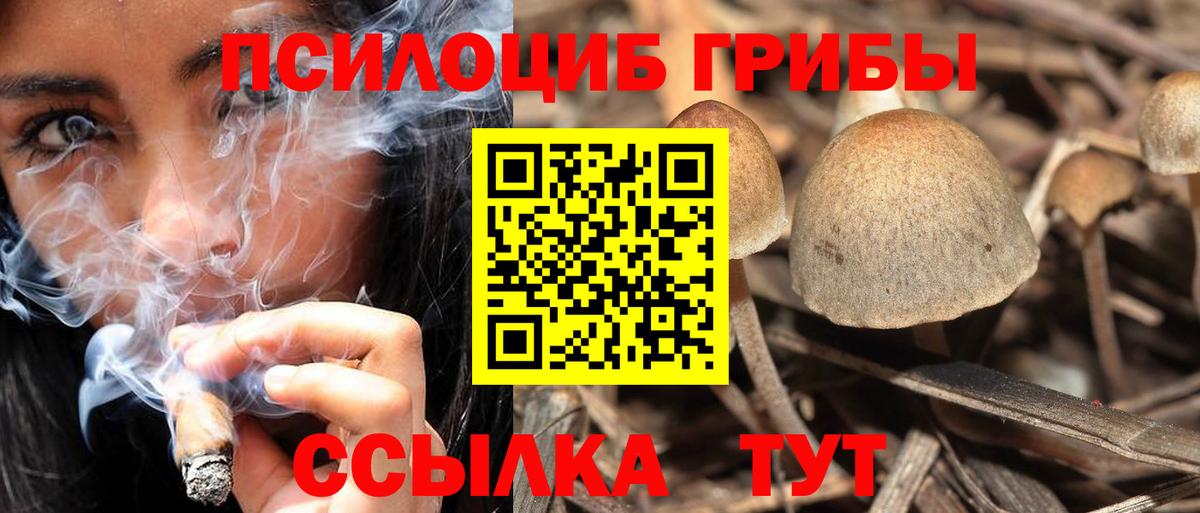 Псилоцибиновые грибы мухоморы Сланцы