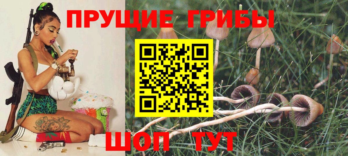 Сланцы  Галлюциногенные грибы Magic Shrooms  Вход с VPN  Псилоцибиновые грибы мухоморы 